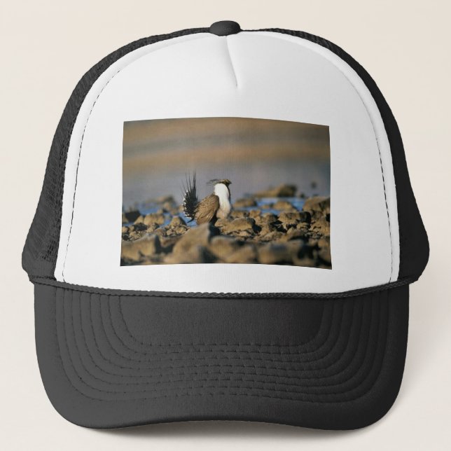 Casquette Une plus grande grouse sage (Devant)