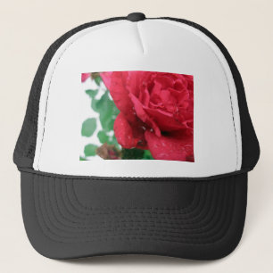 Casquette Une rose rouge