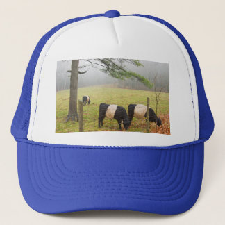 Casquette Vaches Galloway Ceinturées À La Ferme À Rockport M