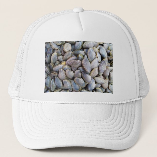 Casquette Venus Clam [หอยลาย] (Devant)