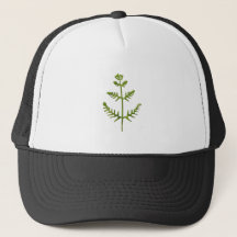 vert de printemps