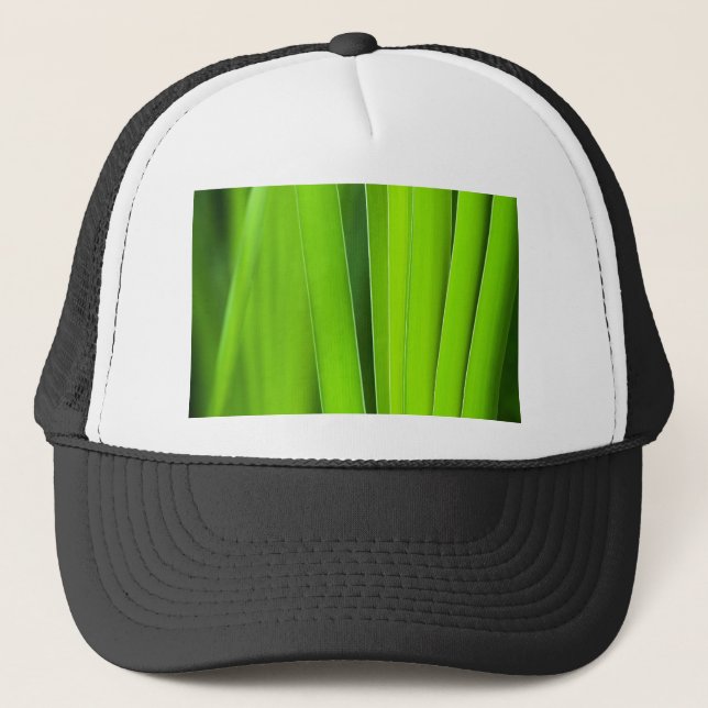 Casquette vert de toilettage (Devant)