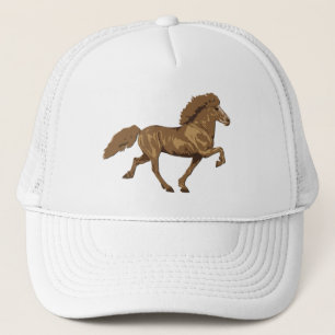 Casquette Vintage islandais des années 1930
