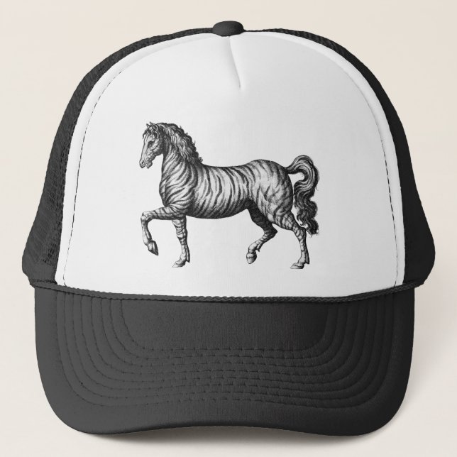 Casquette Vintage Zebra (Devant)