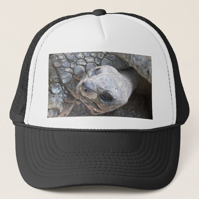 Casquette Visage de tortue (Devant)