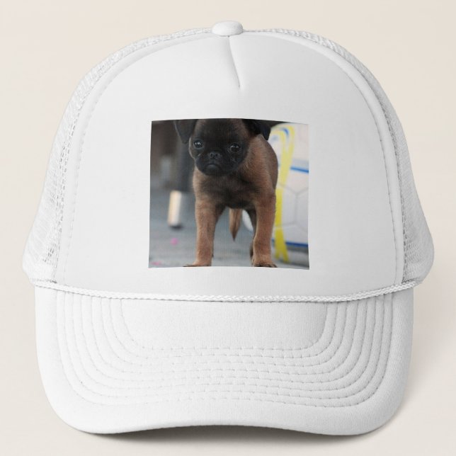Casquette vue frontale de bruxelles griffon (Devant)