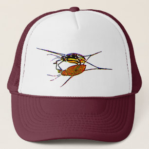 Casquette Water Strier voit son ombre