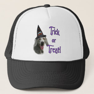 Casquette Weimaraner Trick