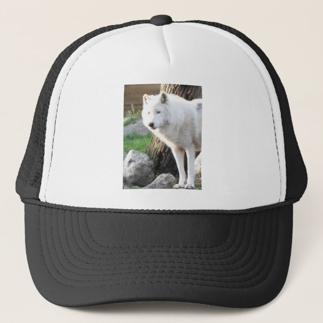 Casquette Wolf Photographie Art Spirit Guide Amour animal (Devant)