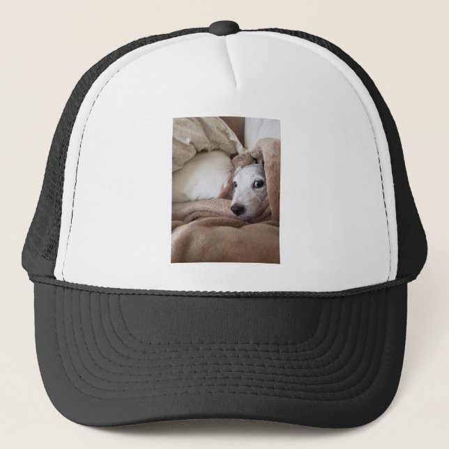 Casquette Yoda Jack Russell Terrier, l'ami de Zoe (Devant)