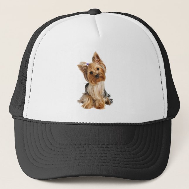 Casquette Yorkshire Terrier chien animal animal animal anima (Devant)