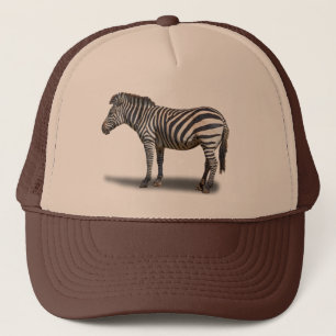 CASQUETTE ZÈBRE