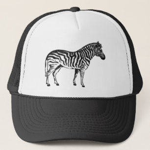 Casquette Zèbre