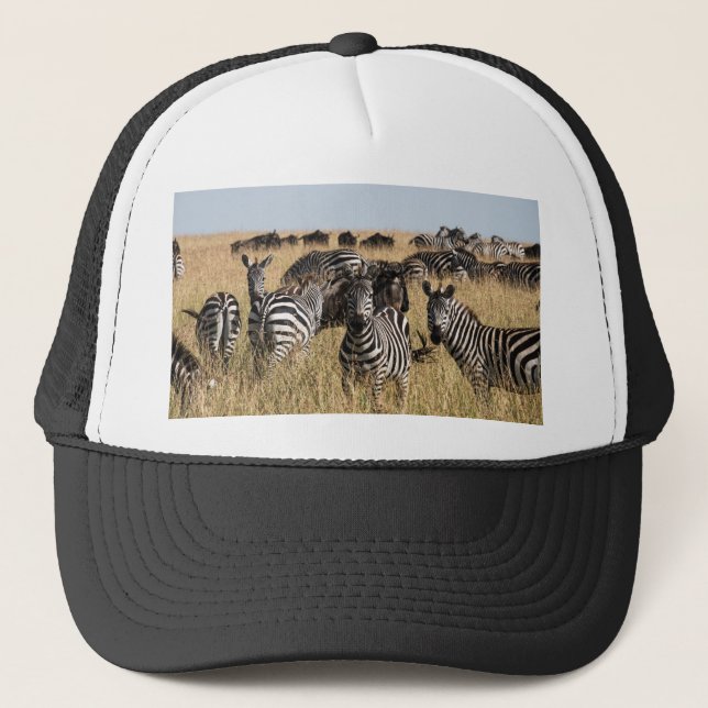 Casquette Zèbre de Grant (Devant)