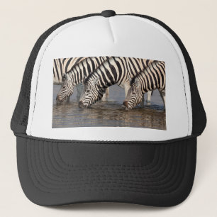 Casquette Zèbres boire