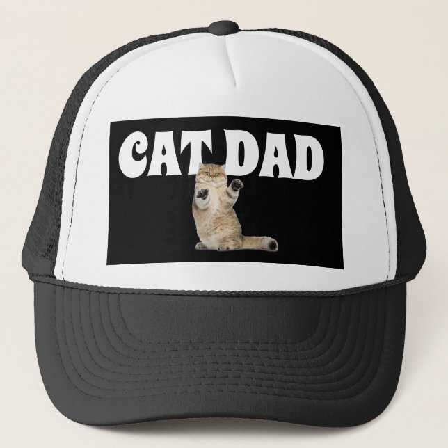CASQUETTES CASQUETTES de CAT DAD BALL (Devant)