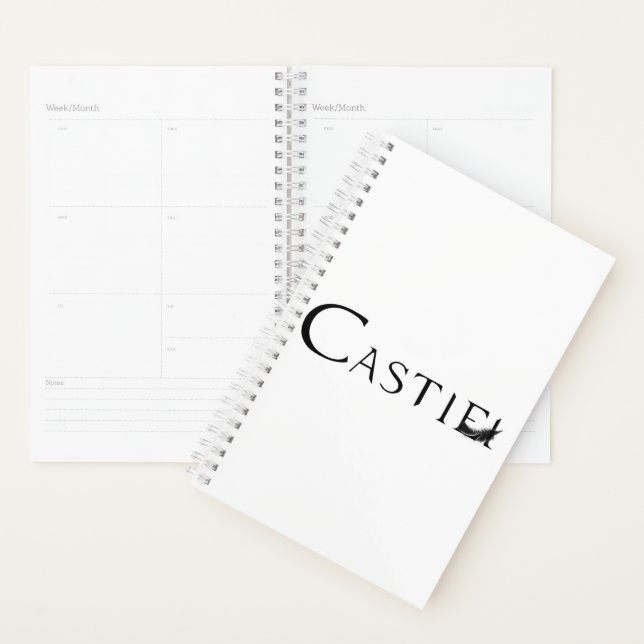 Castille avec plumes (Devant avec enveloppe)