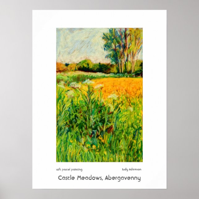 Castle Meadows, Abergavenny Impression ou Affiche (Devant)