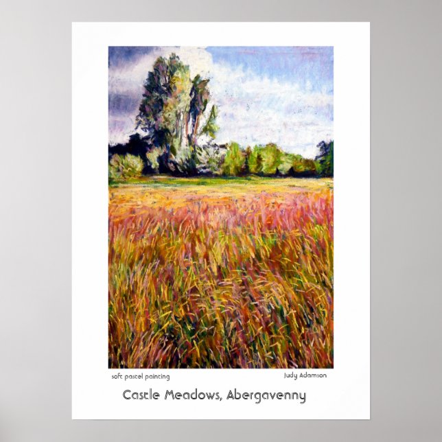 Castle Meadows, Abergavenny Imprimer ou Poster (Devant)