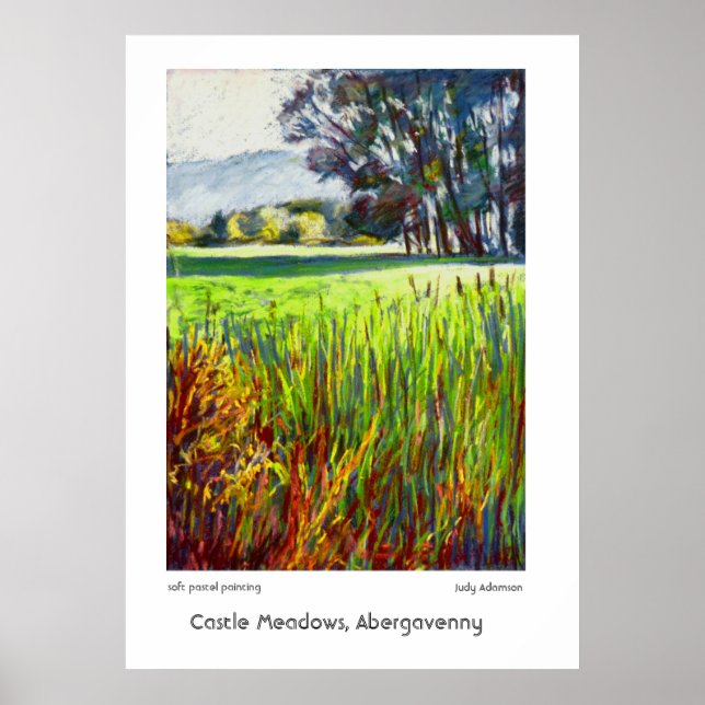 Castle Meadows, Abergavenny Imprimer ou Poster (Devant)