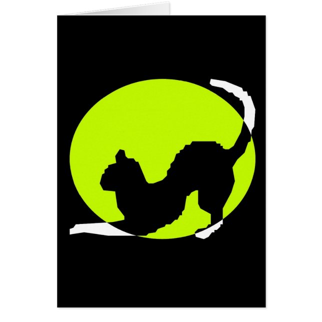 Cat (Devant)