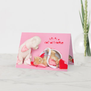Cat-astrophe Valentine chien et carte chat