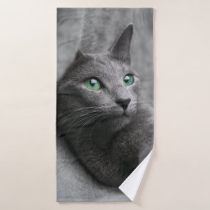 Cat bleu-russe aux yeux verts