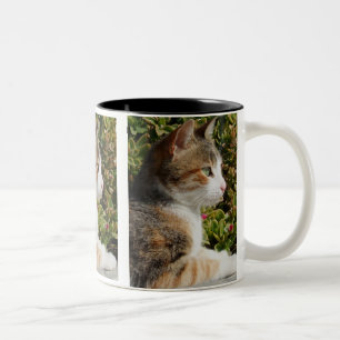 Cat Cat Mug