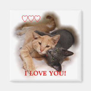 Cat Couple I Love You Magnet