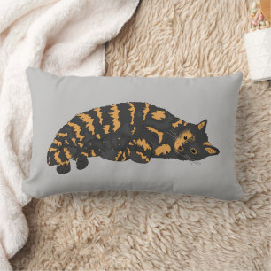 CAT CUDDLE TORTIE COUSSINS