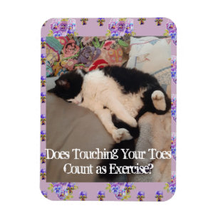 Cat de Tuxedo Sleeping Funny Cats Cats Magnet