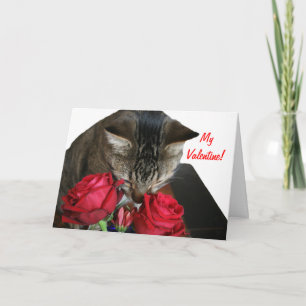 Cat et carte Valentine Rose