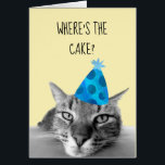 Cat Funny Birthday Card Où est le gâteau<br><div class="desc">This design created though digital art. It may be personalized in the area provide or customizing by choosing the click to customize further option and changing the name, initials or words. Donc, change le texte color and style or delete the text for an image only design. Contact me at colorflowcreations@gmail.com...</div>