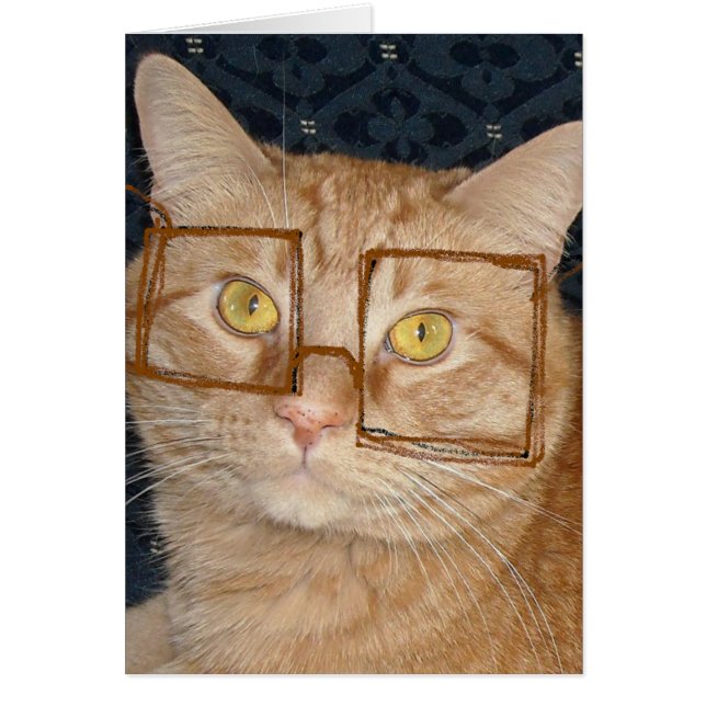Cat humour (Devant)