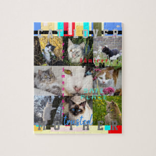 CAT LOVER Photo Puzzle HAMbWG