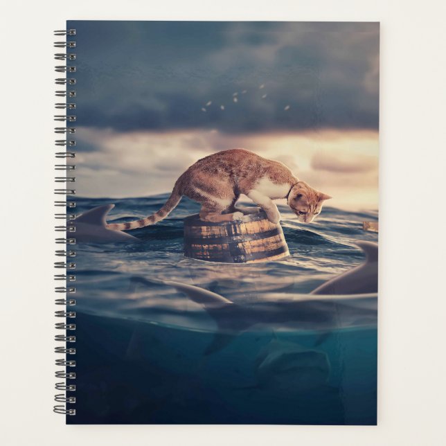 Cat Nap Dream ou cauchemar (Devant)