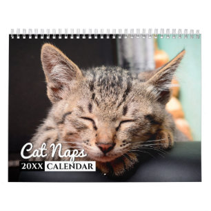 Cat Naps - Calendrier des murs photo