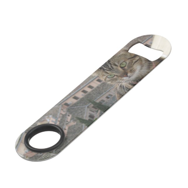 Cat PhotoIntainless Bottle Opener (Devant angulaire)