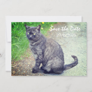 Cat Plié Enregistrer La Date Carte D'Invitation