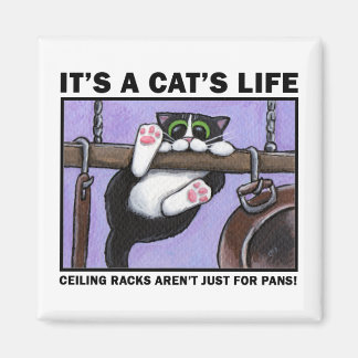 Cat Rack v.01 - C'est un Magnet de la vie d'un cha