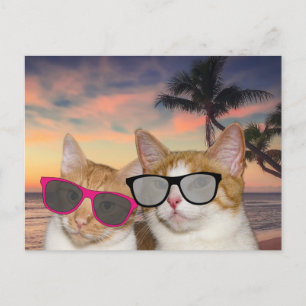 CAT SUR LA PLAGE "CAT COUPLE" CARTES Postales