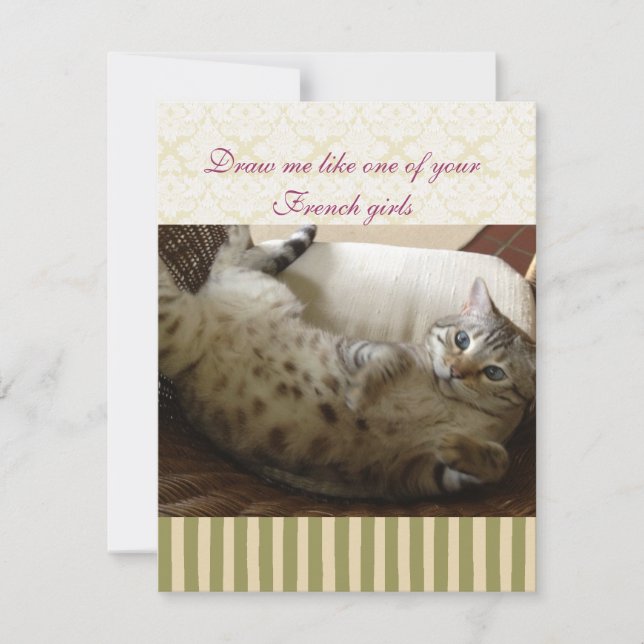 Cat Titanic Citation Brocade Stripe Carte pour not (Devant)