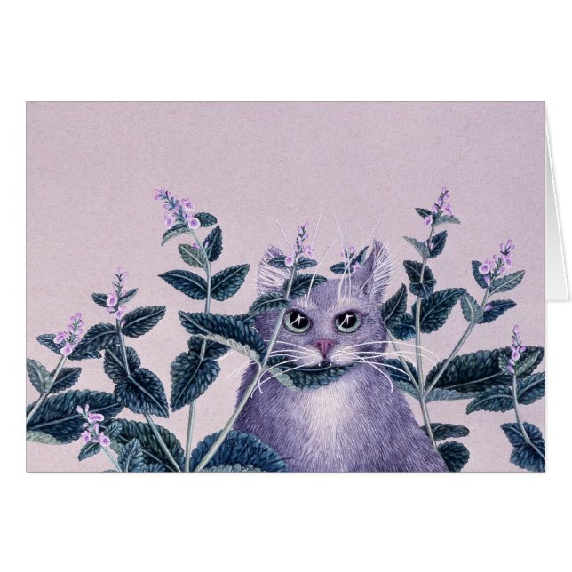 Cataire, par Darlene P. Coltrain (Devant horizontal)