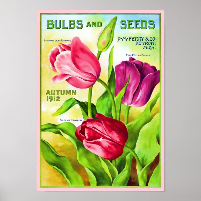 Catalogue des ampoules de tulipe Affiche d'illustr (Devant)