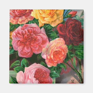 Catalogue des semences 1 aimant Rose