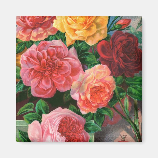 Catalogue des semences 1 aimant Rose (Devant)