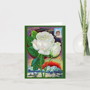 Catalogue rose des années 1890 illustration Rose b