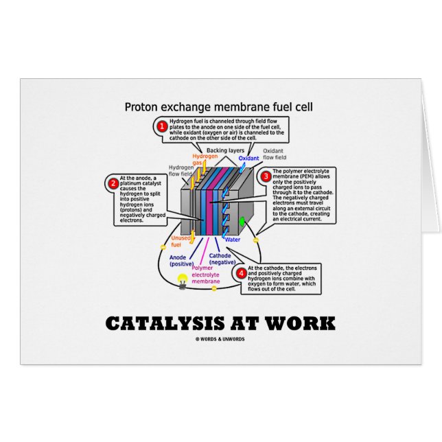 Catalyse au travail (carburant de membrane (Devant horizontal)