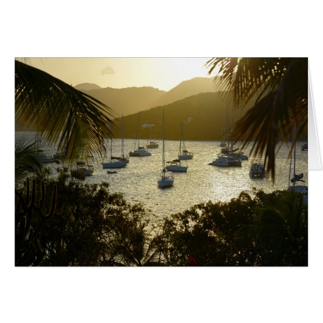 Catamarans et voiliers (Devant horizontal)