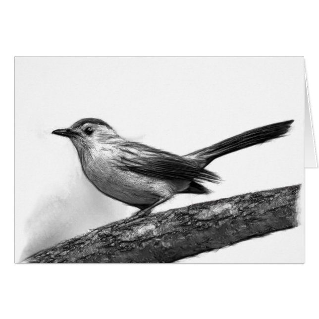 Catbird (Devant Horizontal)